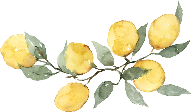 Watercolor Lemons on Branch Bouquet Border or Banner Clip Ar